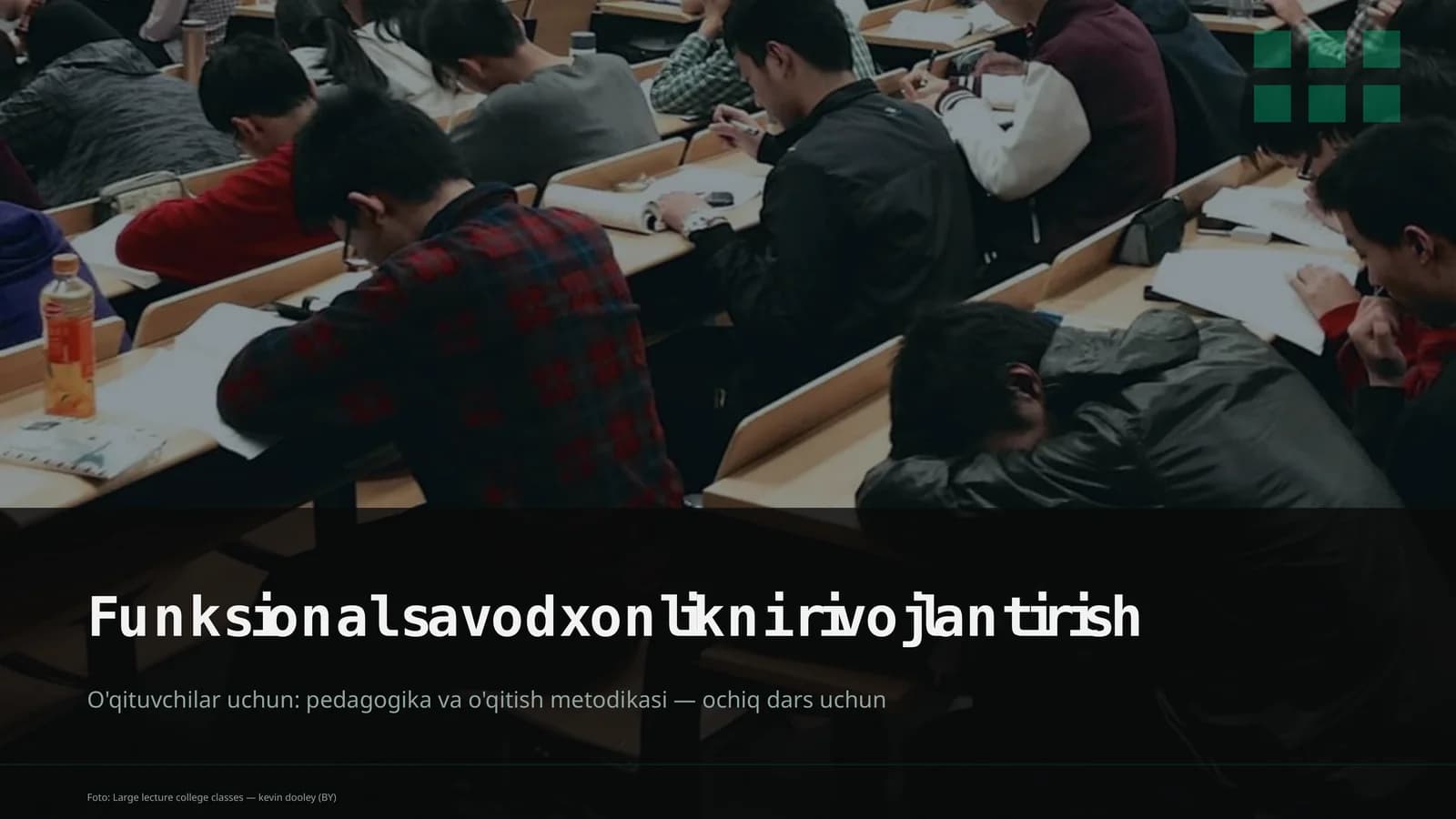 Funksional savodxonlikni rivojlantirish