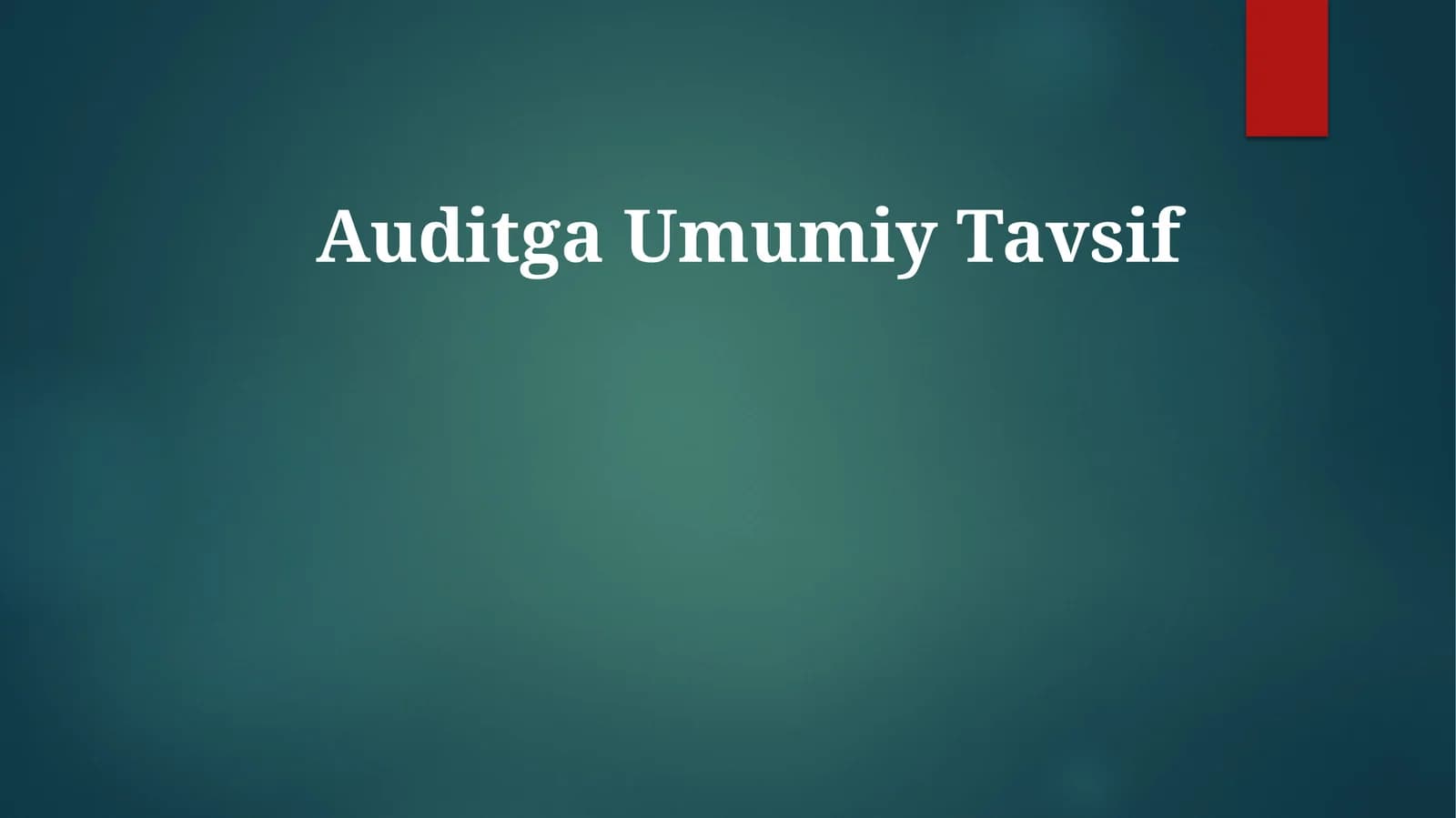 AuditgaUmumiyTavsif
