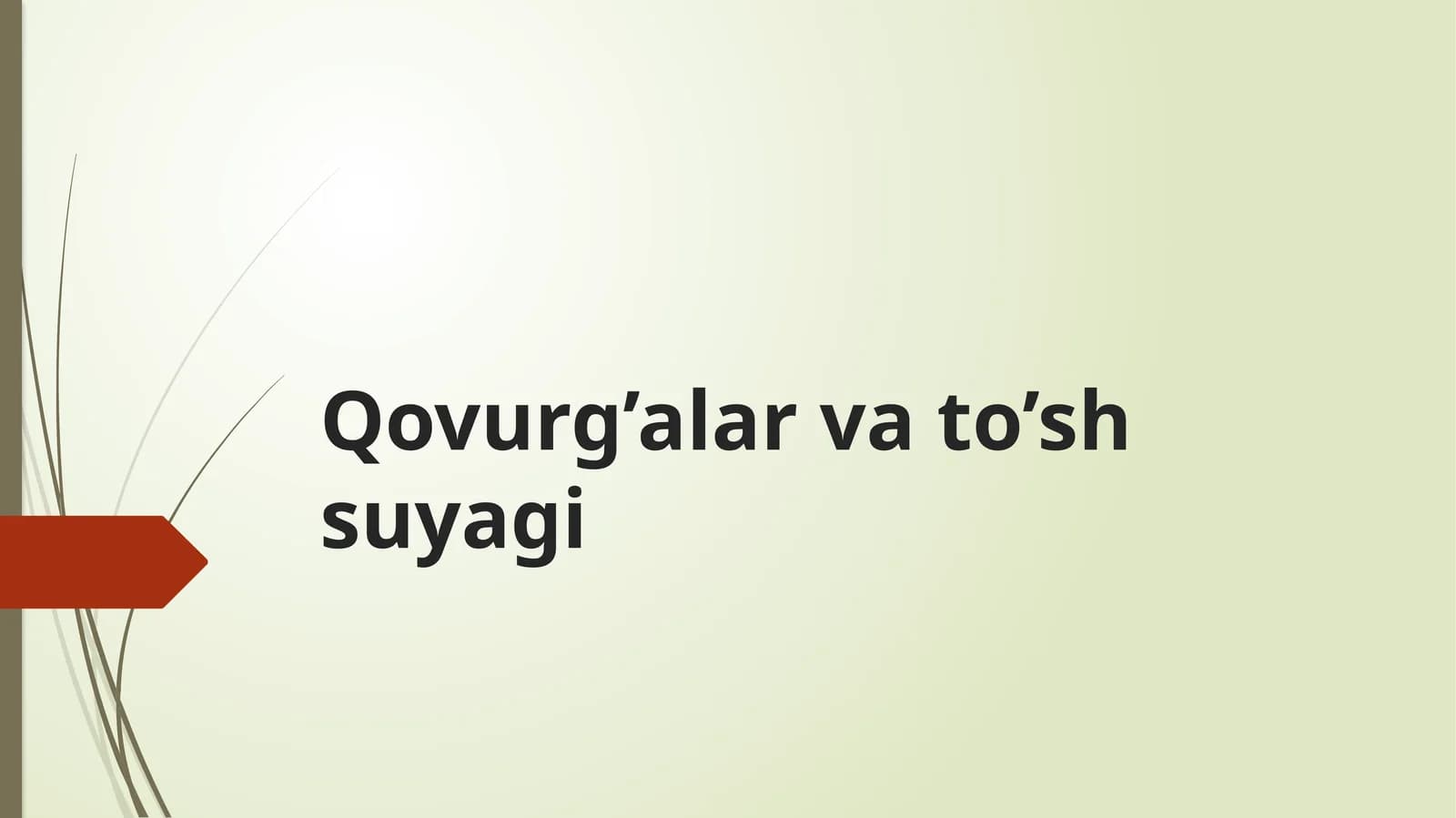 Qovurg’alar va to’sh suyagi