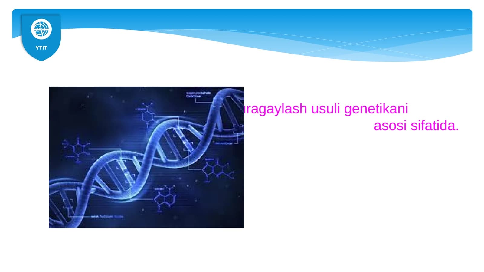 Genetika