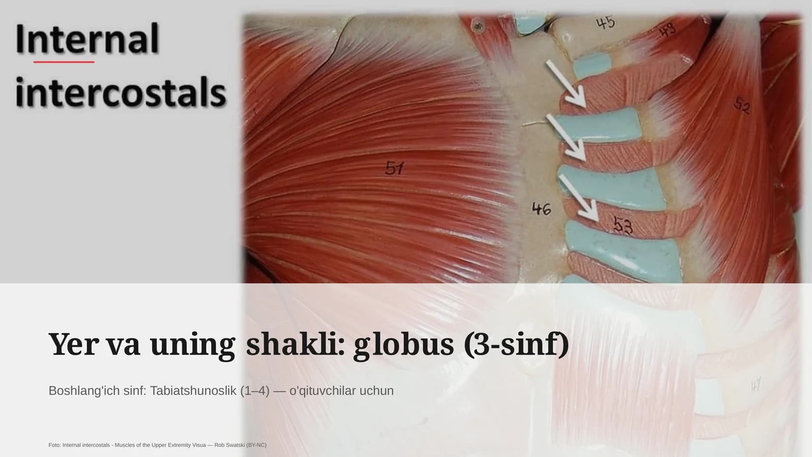 Yer va uning shakli: globus (3-sinf)
