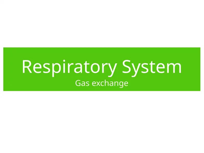Respiratory System