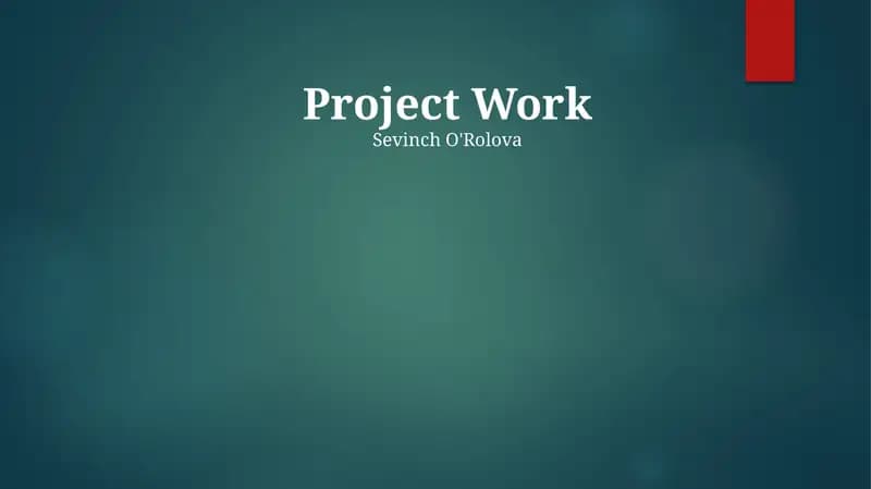 Project Work