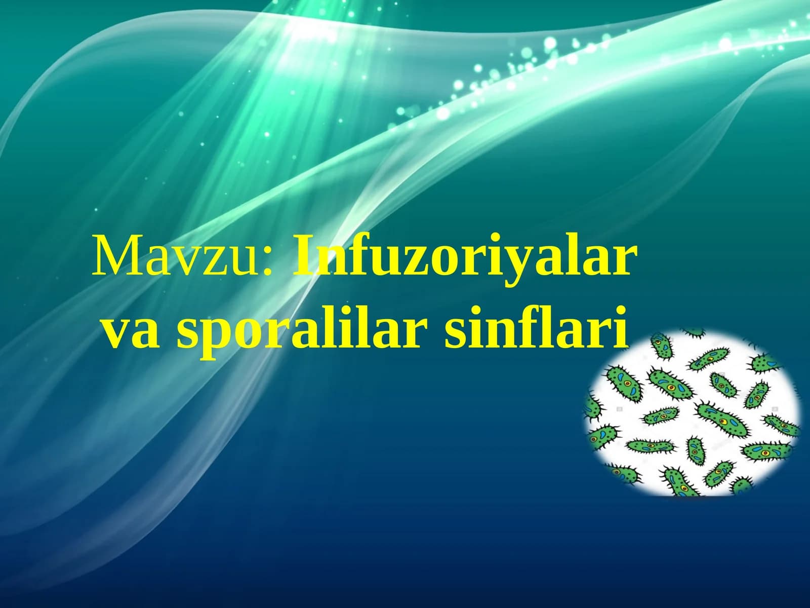 Infuzoriyalar va sporalilar sinflari