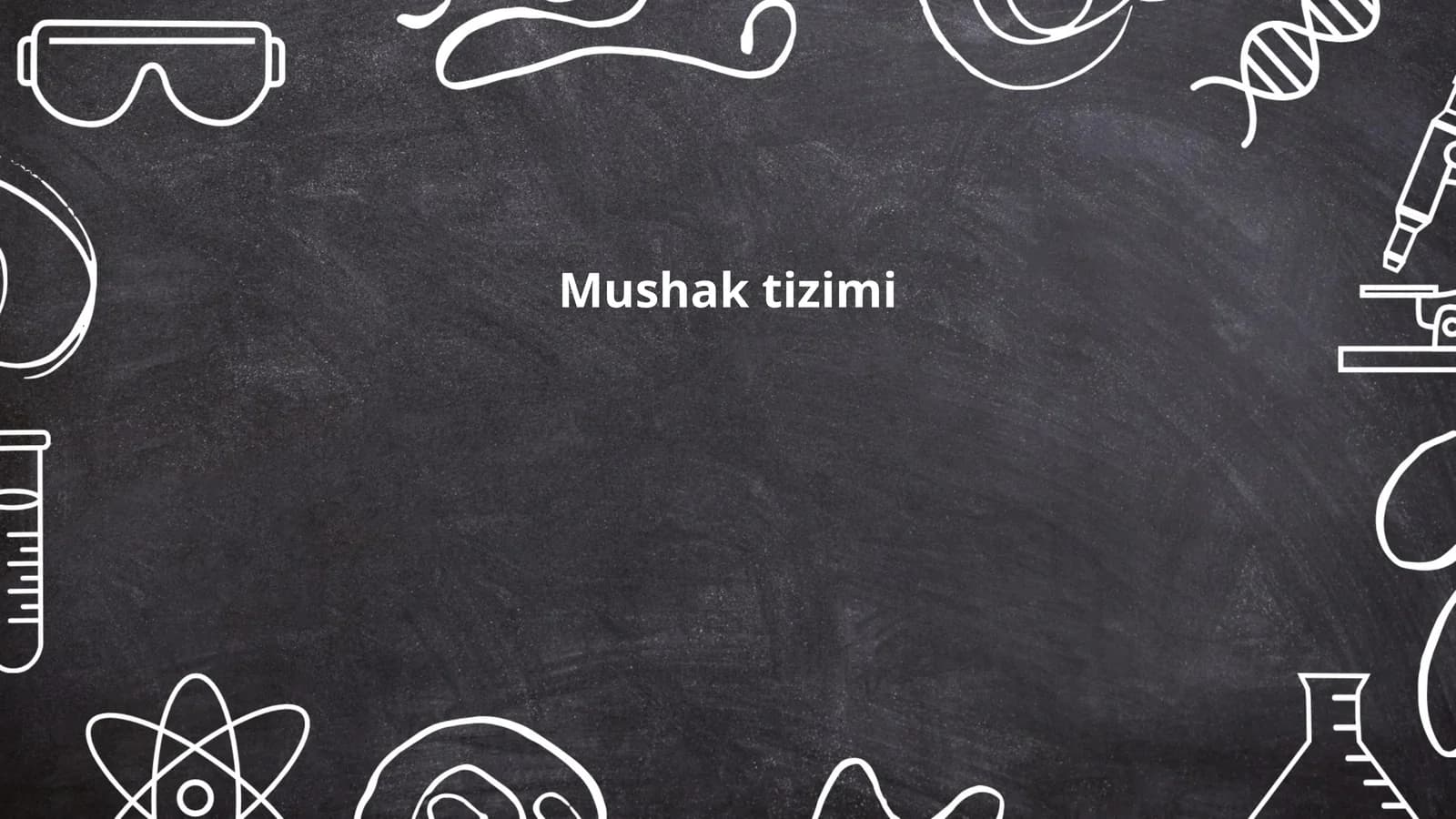 Mushak tizimi