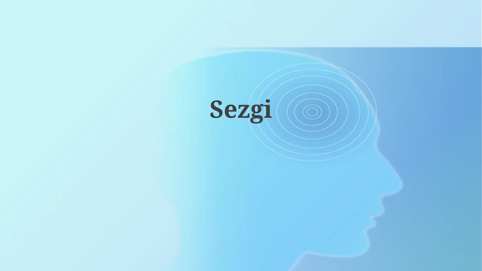 Sezgi