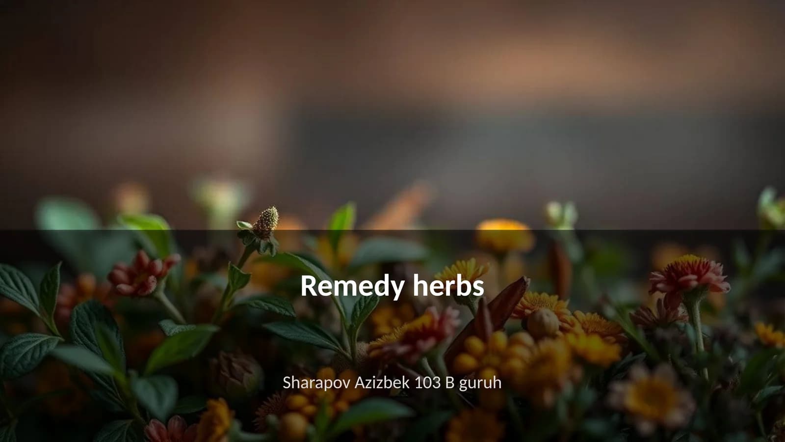 Remedy herbs