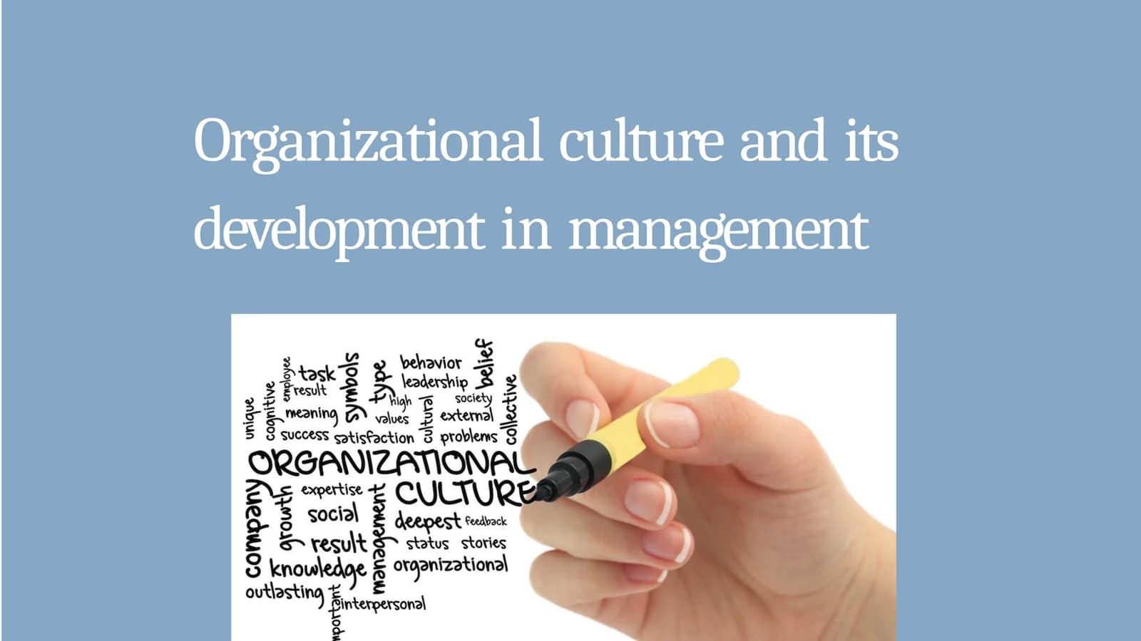 Organizational culture and its development in management