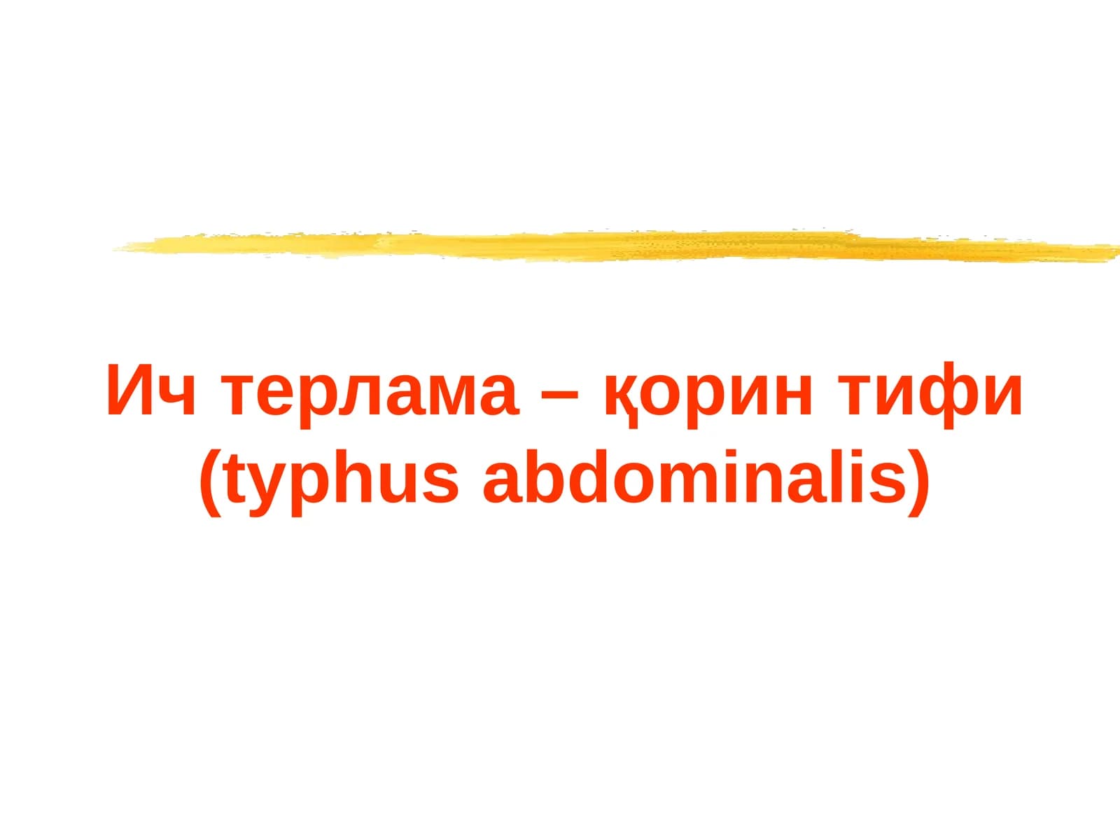 Ич терлама – қорин тифи (typhus abdominalis)