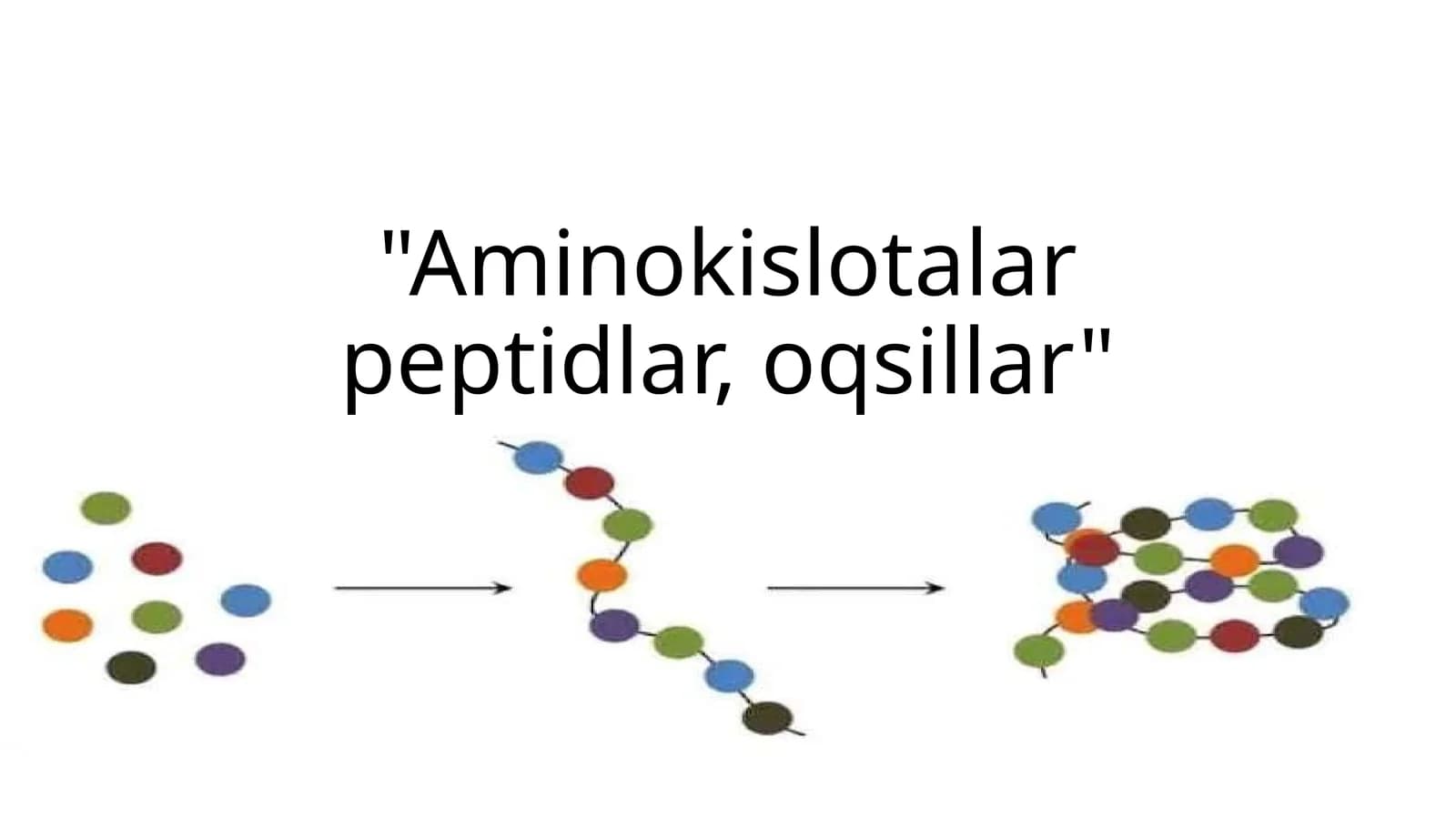 AMINOKISLOTALAR PEPTIDLAR ,OQSILLAR