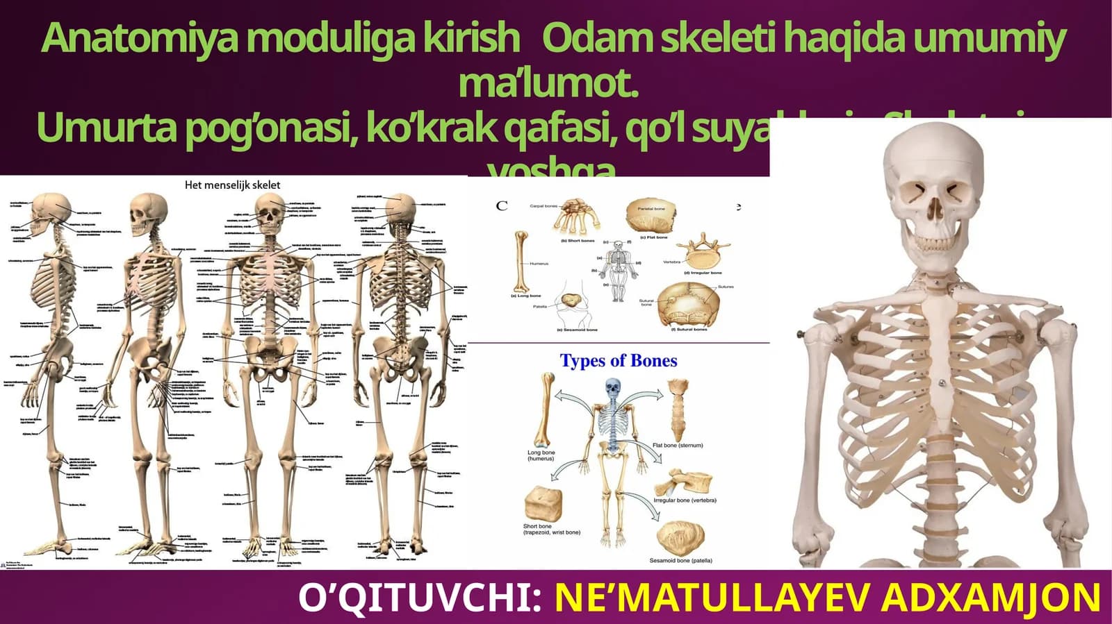 Anatomiya moduliga kirish