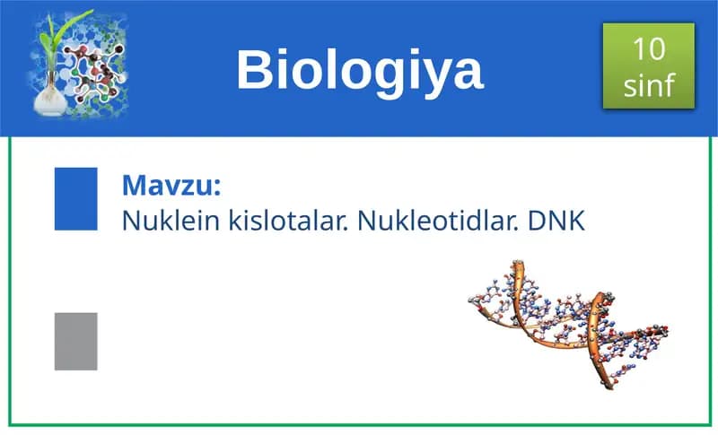Nuklein kislotalar. Nukleotidlar. DNK
