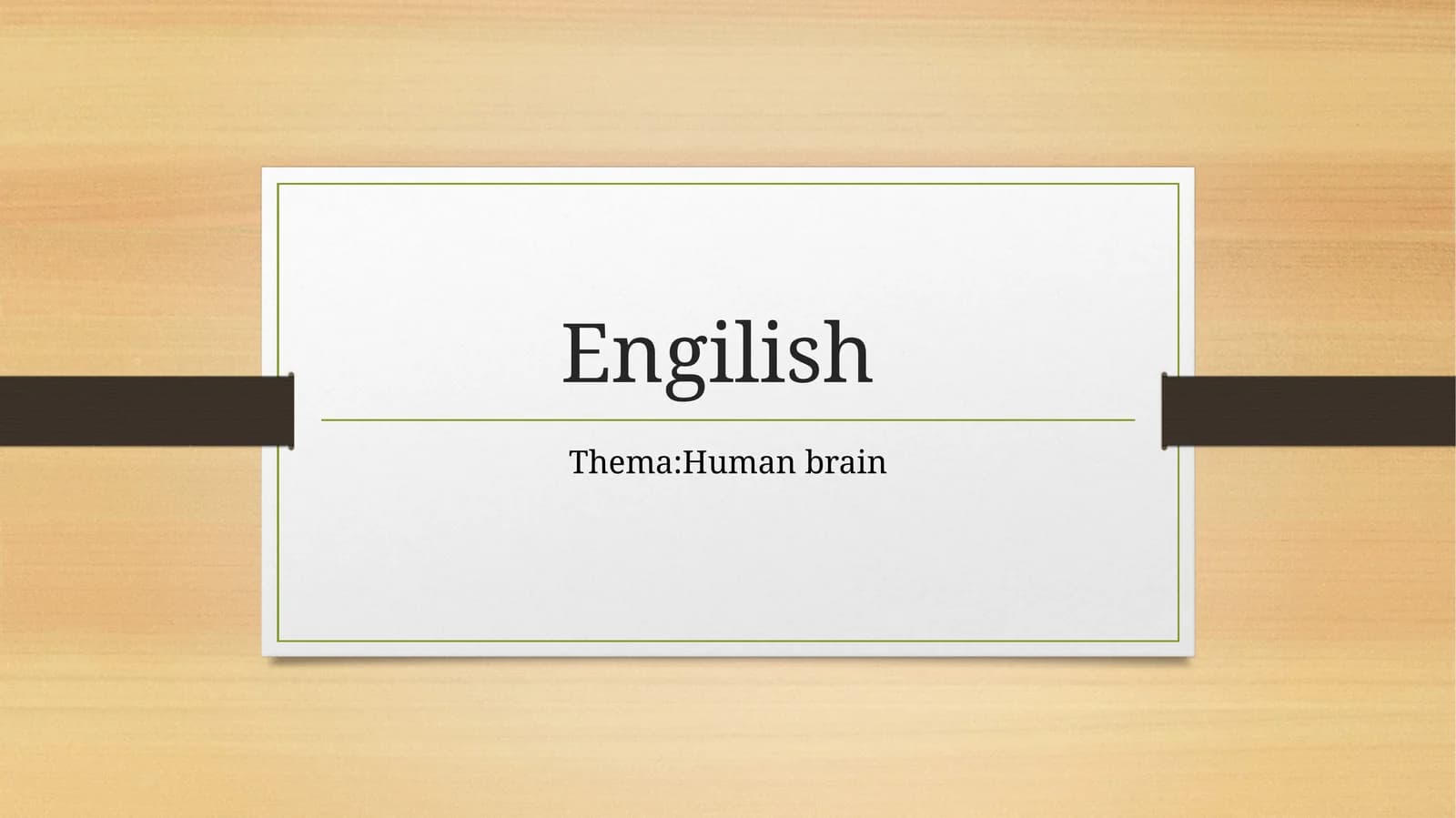 The Human Brain: An Overview