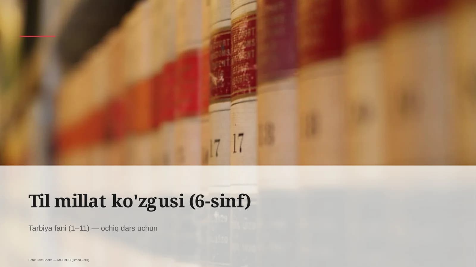 Til millat ko'zgusi (6-sinf)