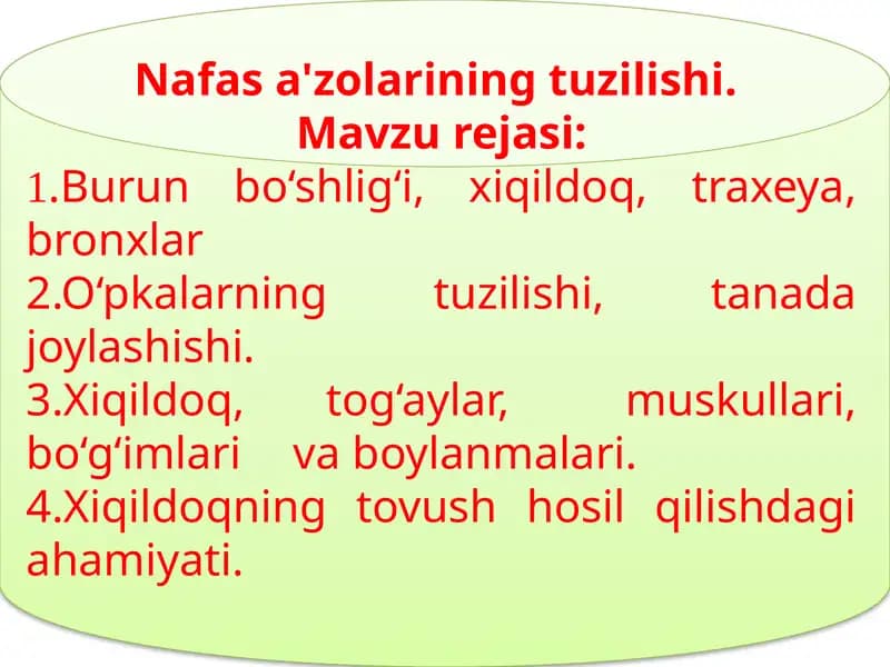 Nafas a'zolarining tuzilishi