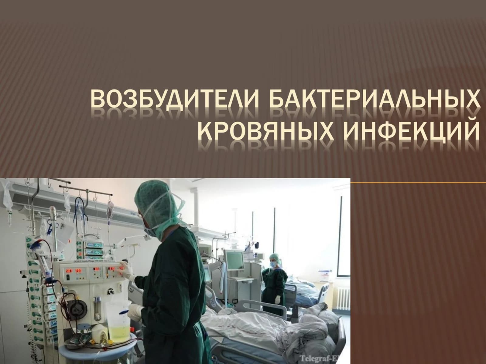 Возбудитель чумы