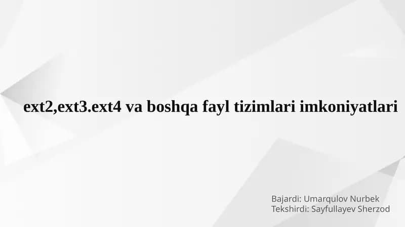 EXT File System