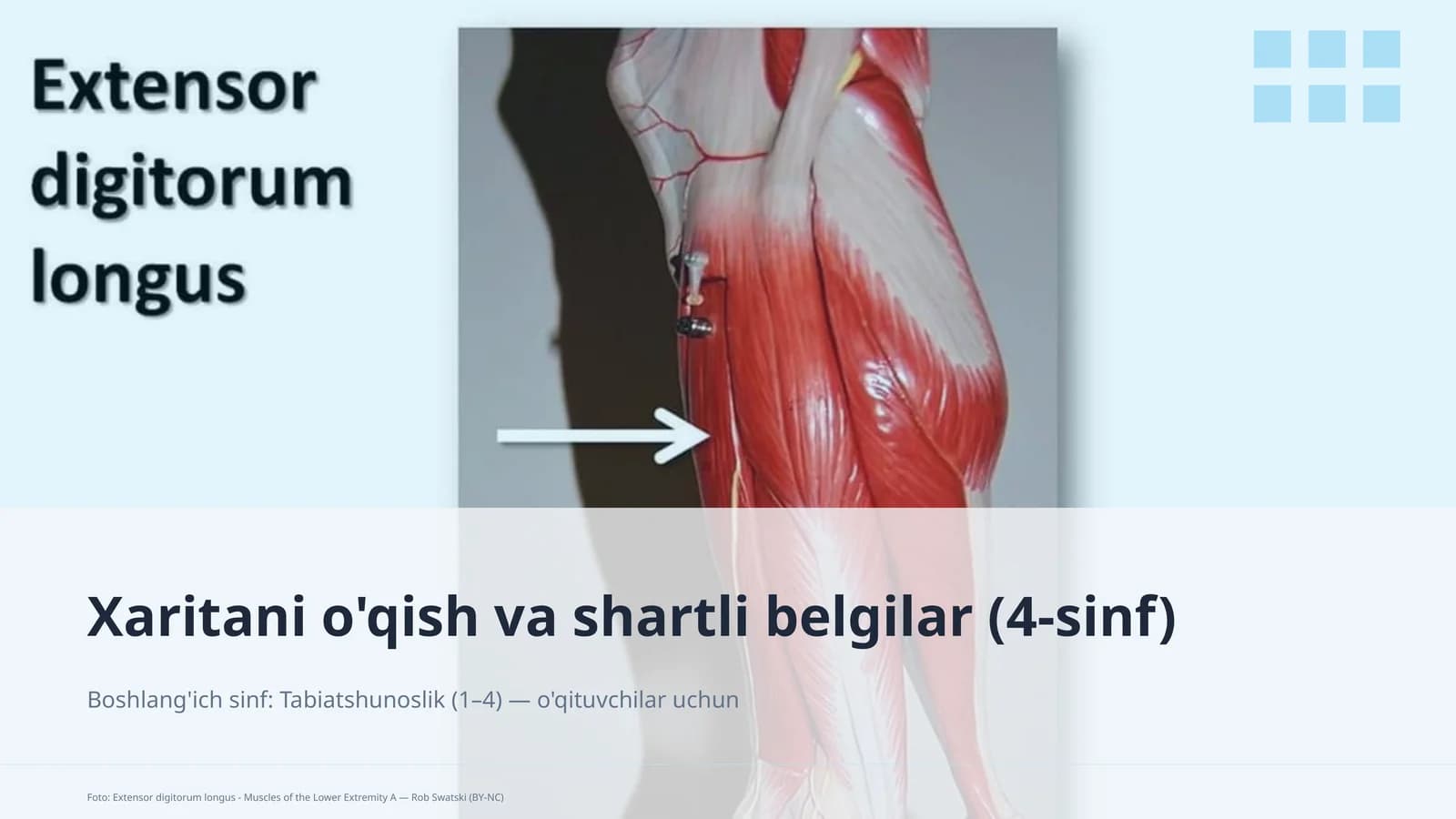Xaritani o'qish va shartli belgilar (4-sinf)