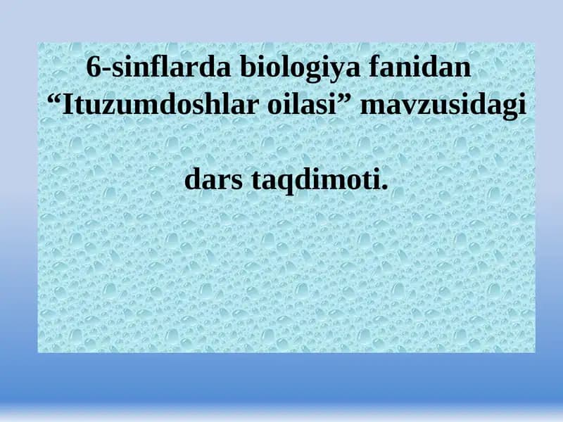 Ituzumdoshlar oilasi