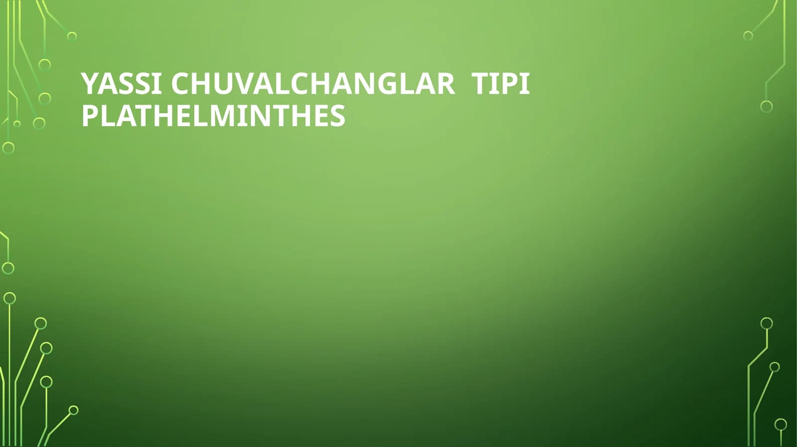 Yassi chuvalchanglar