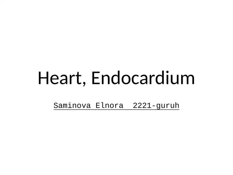 Endocardium