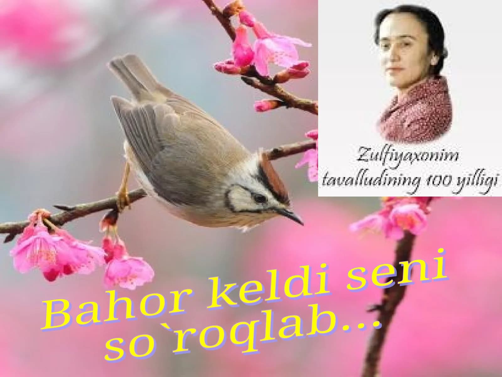 Zulfiya