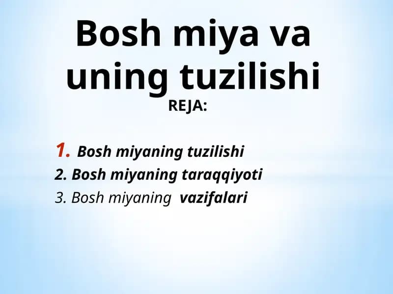 Bosh miya va uning tuzilishi