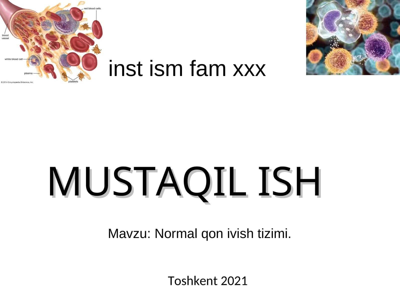 Normal qon ivish tizimi