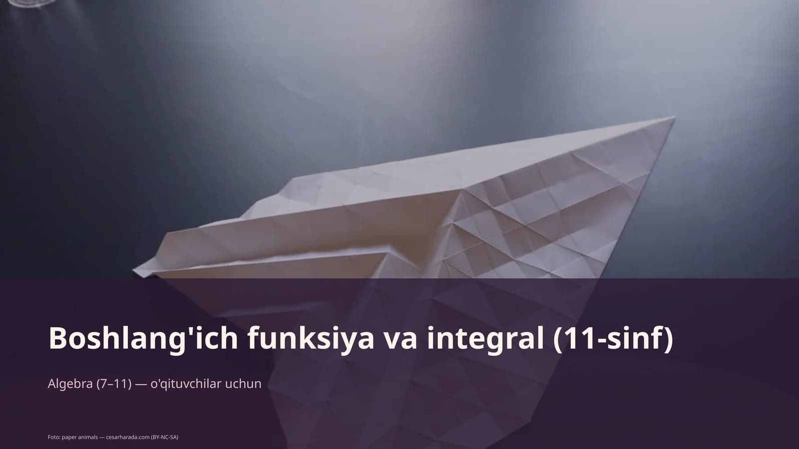 Boshlang'ich funksiya va integral (11-sinf)