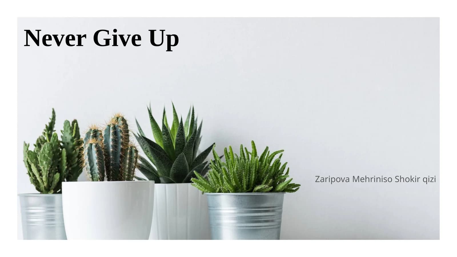Never Give Up
