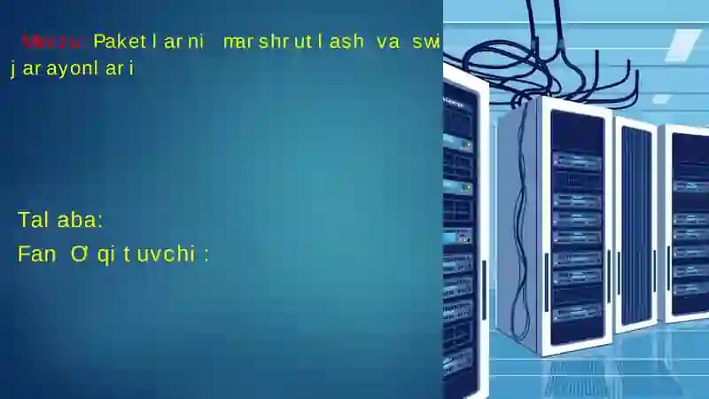 Paketlarni marshrutlash va switching jarayonlari