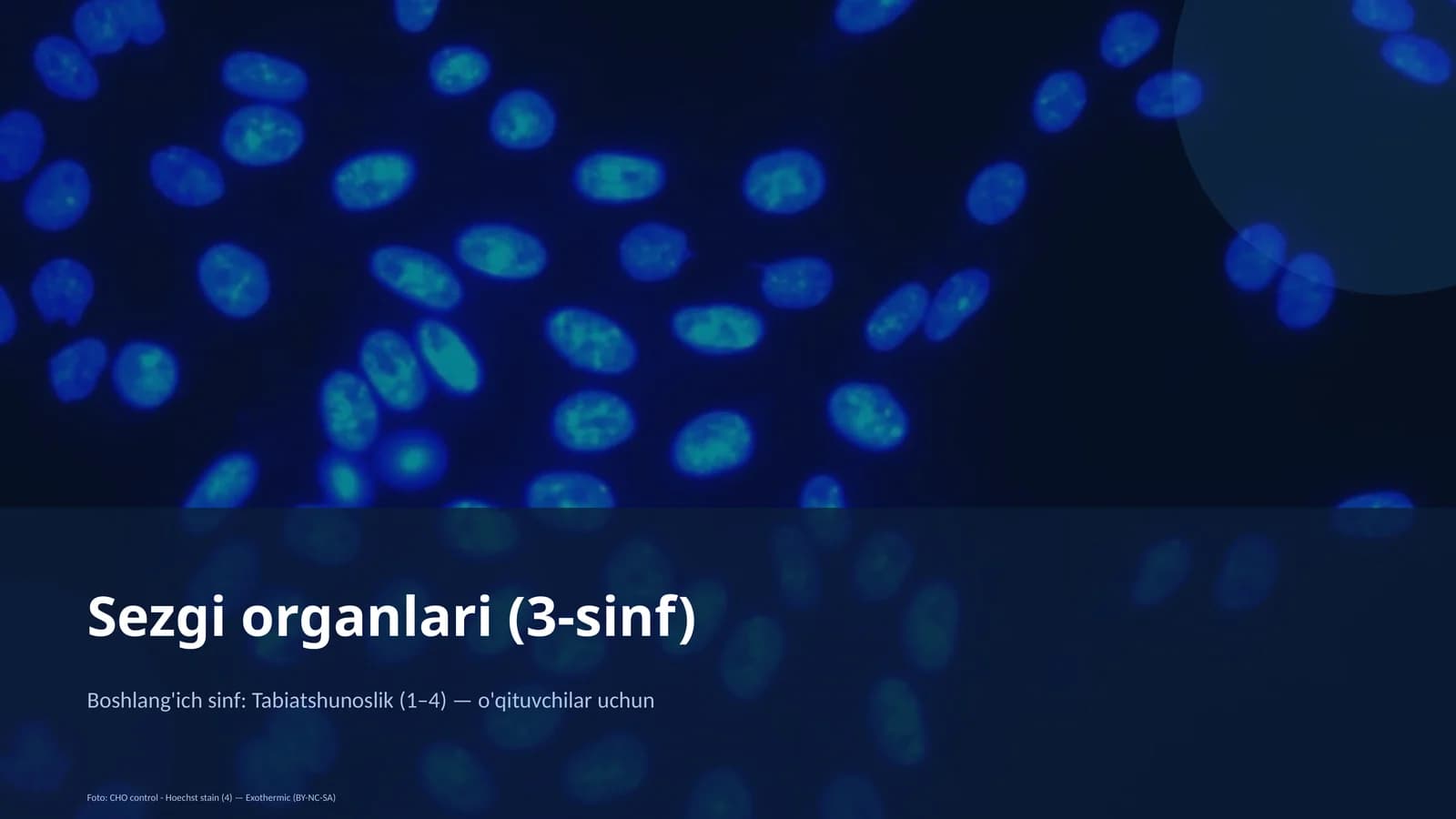 Sezgi organlari (3-sinf)