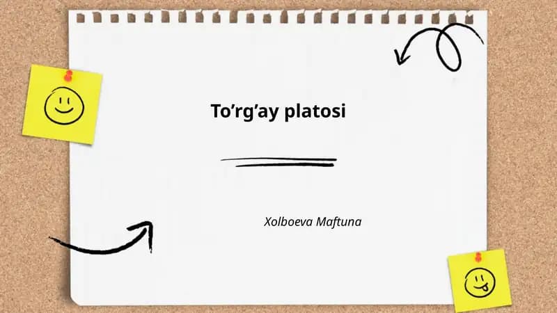 To’rg’ay platosi