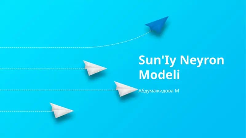 Sun'Iy Neyron Modeli