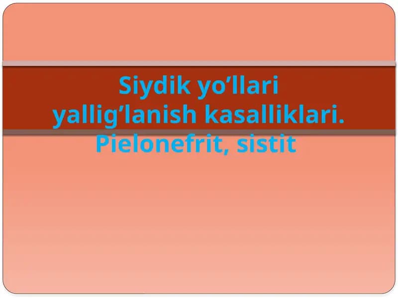 Pielonefrit