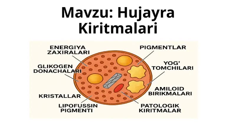 Hujayra Kiritmalari