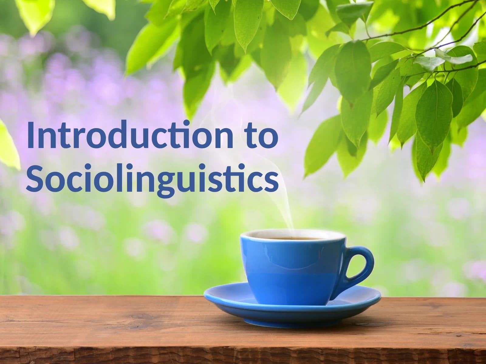 Introduction to Sociolinguistics