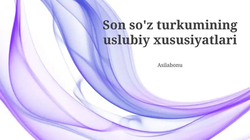Son so'z turkumining uslubiy xususiyatlari
