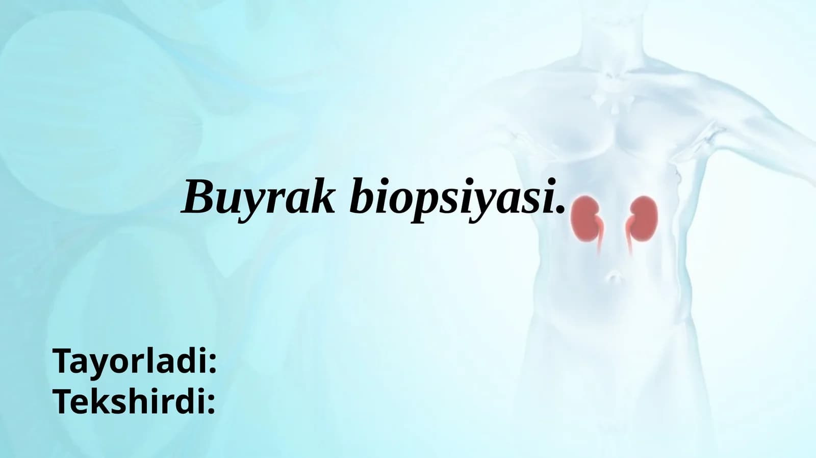 Buyrak biopsiyasi