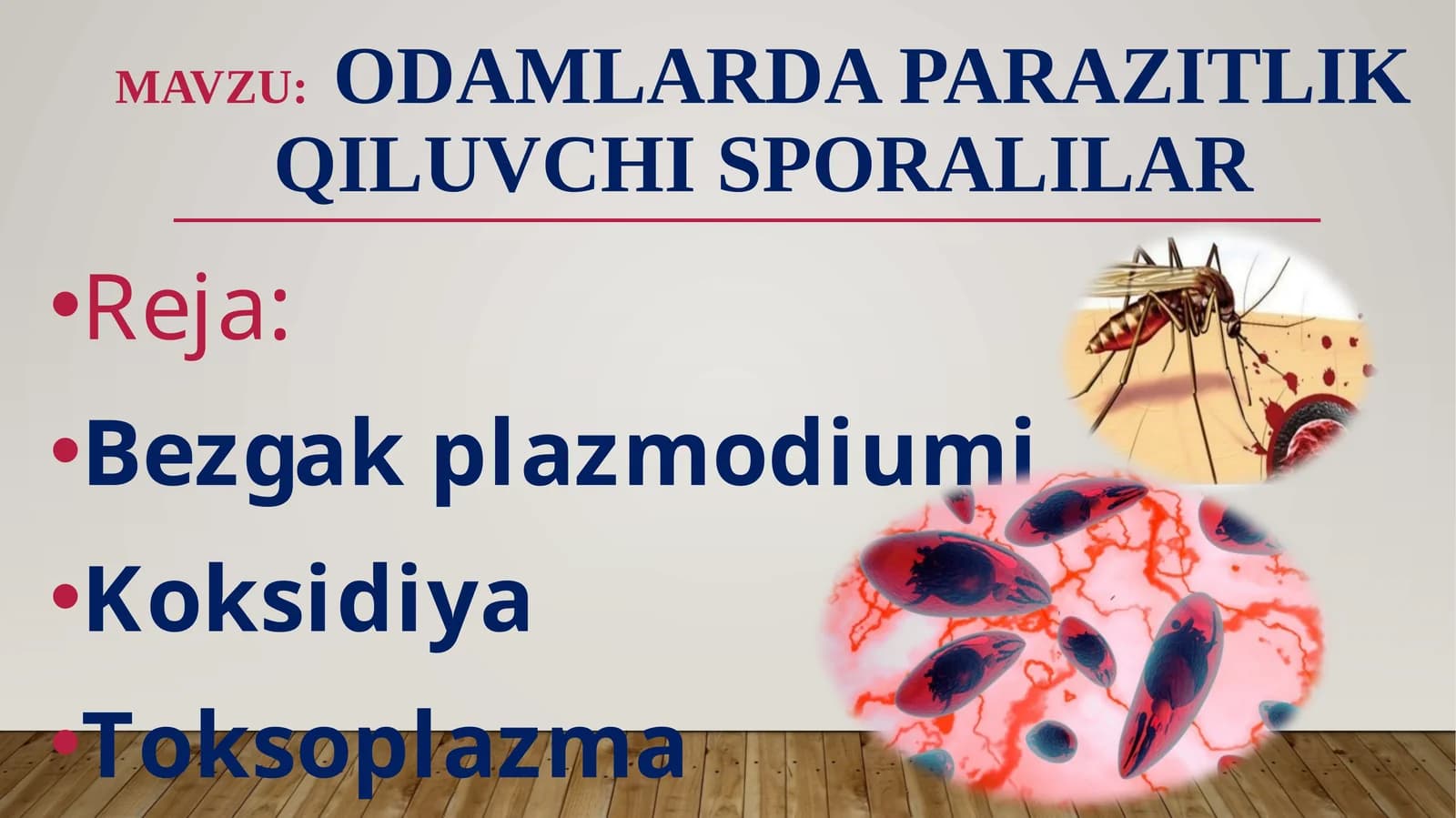 Odamlarda parazitlik qiluvchi sporalilar