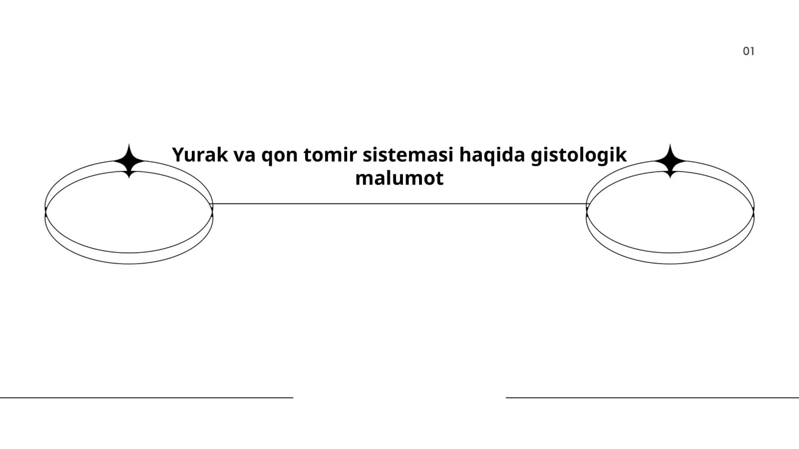 Yurak va qon tomir sistemasi haqida gistologik malumot
