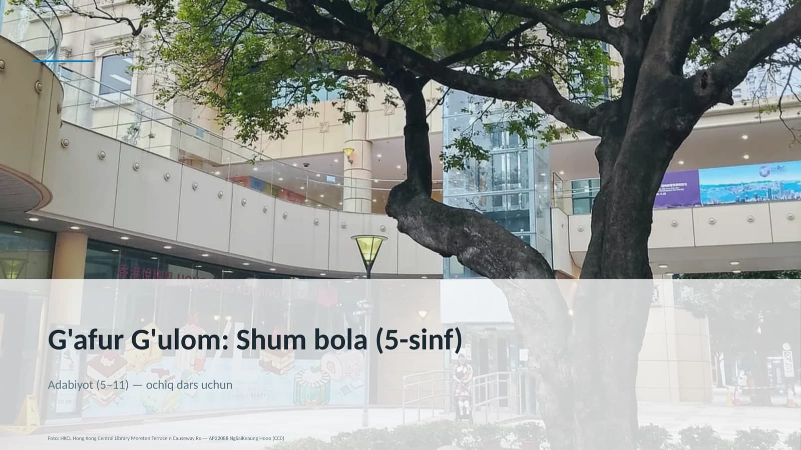 Shum bola (5-sinf)