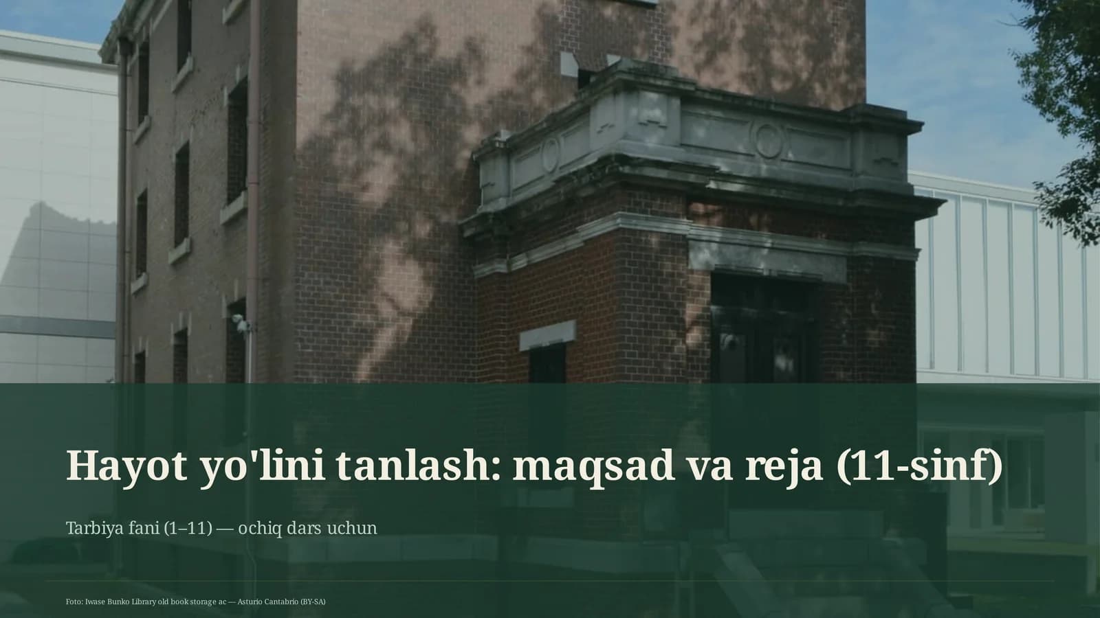 Hayot yo'lini tanlash: maqsad va reja (11-sinf)