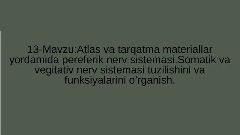 Periferik nerv sistemasi