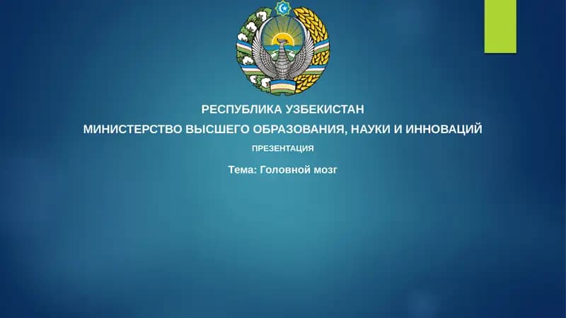 Головной мозг