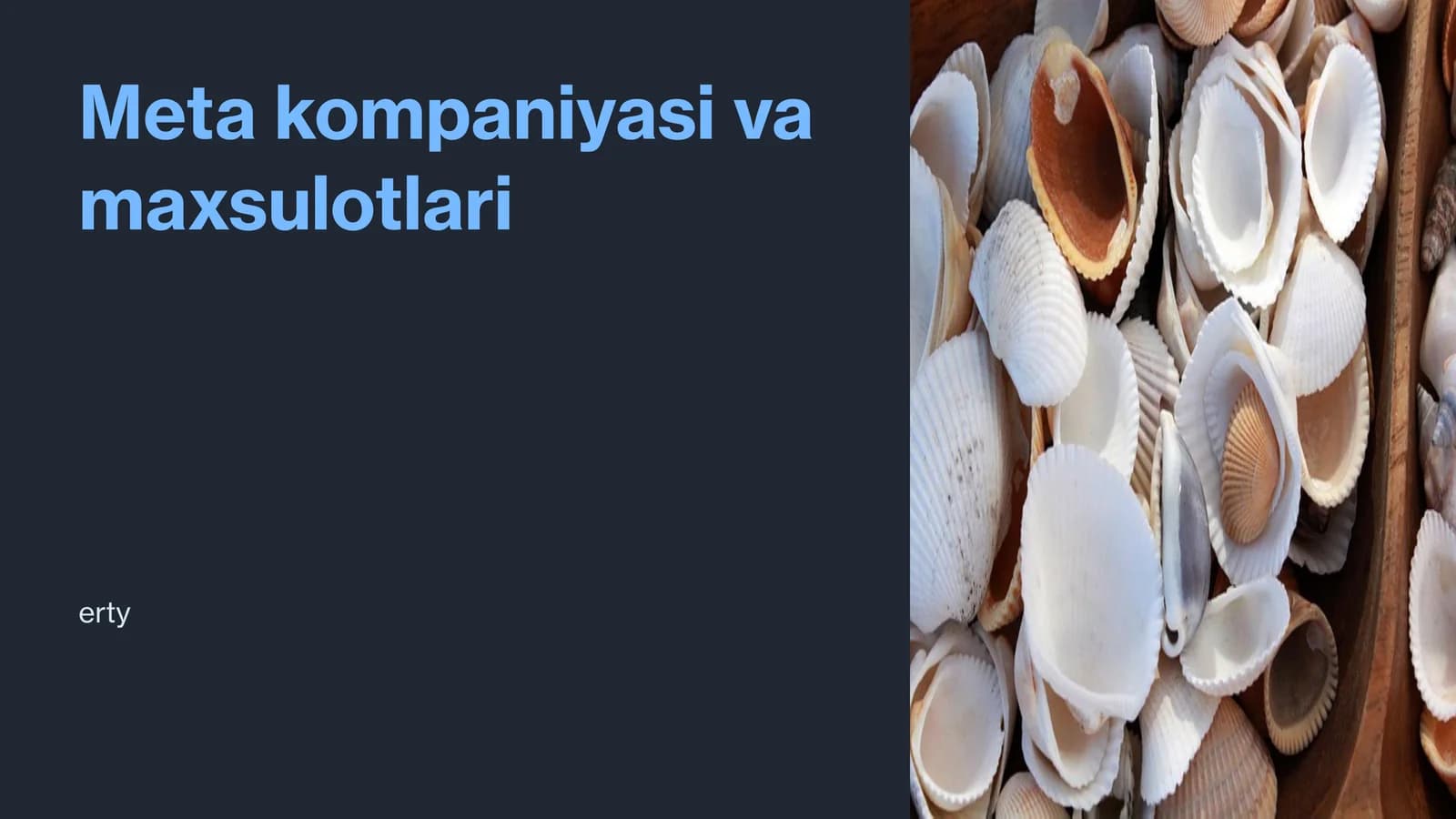 Meta kompaniyasi va maxsulotlari
