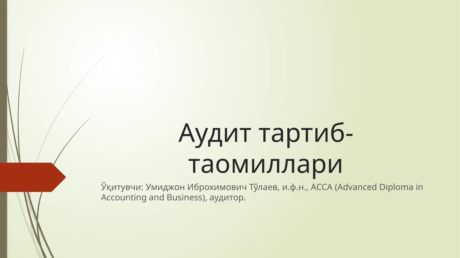 Аудит тартиб-таомиллари