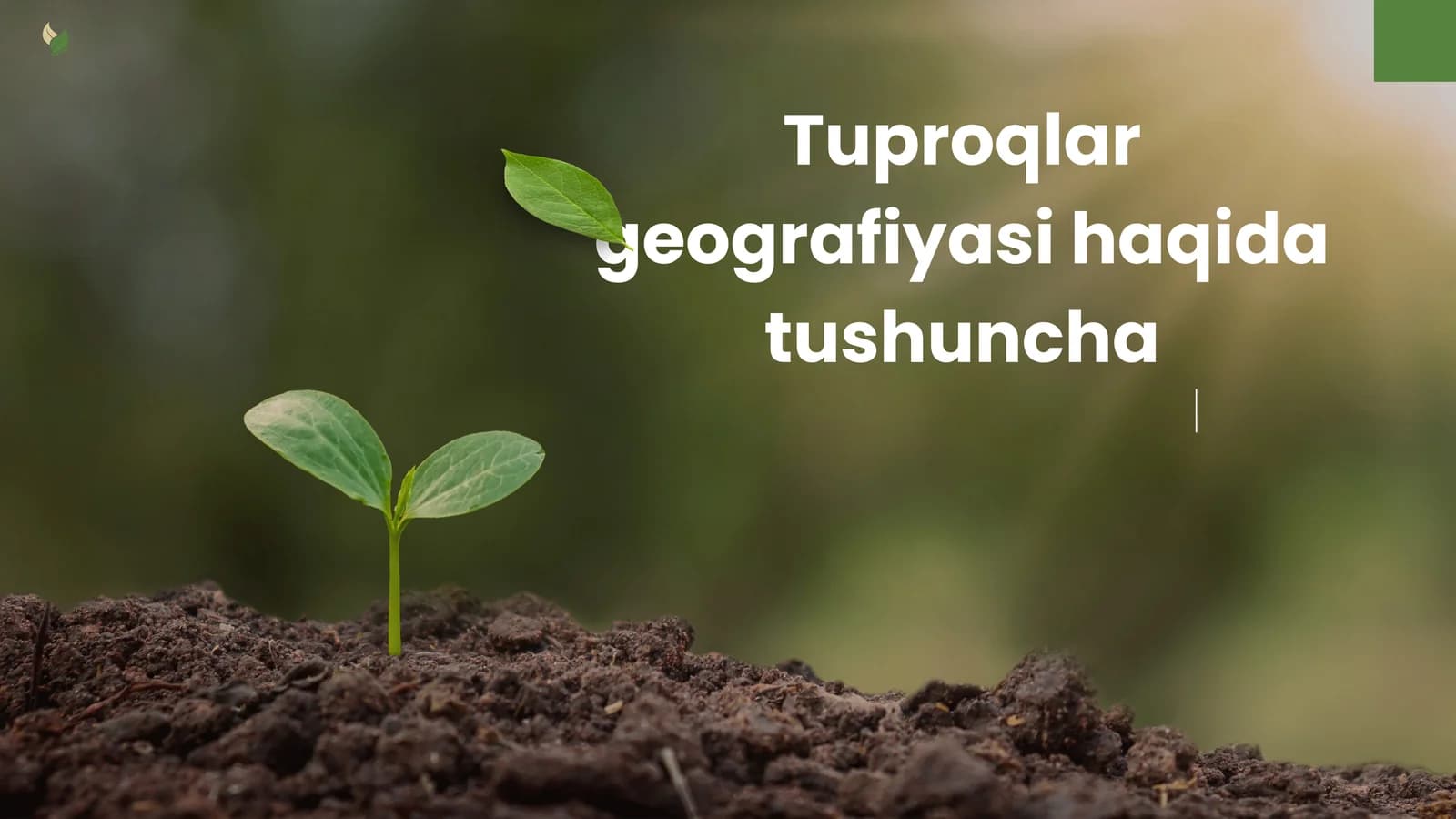 Tuproqlar geografiyasi
