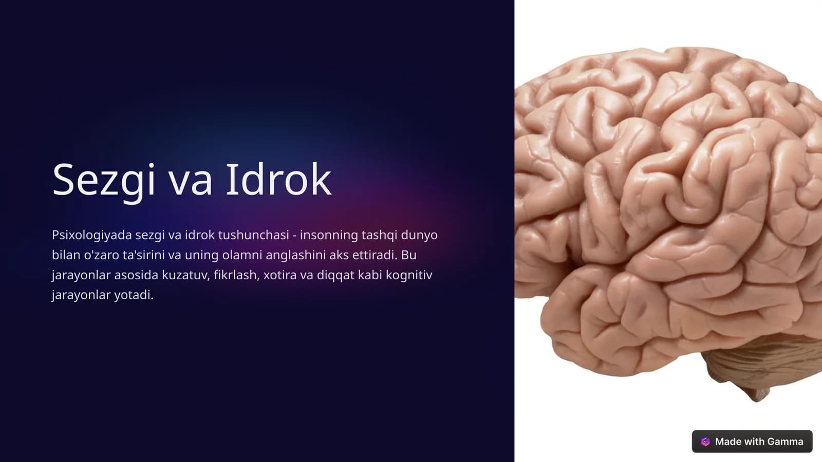 Sezgi va Idrok