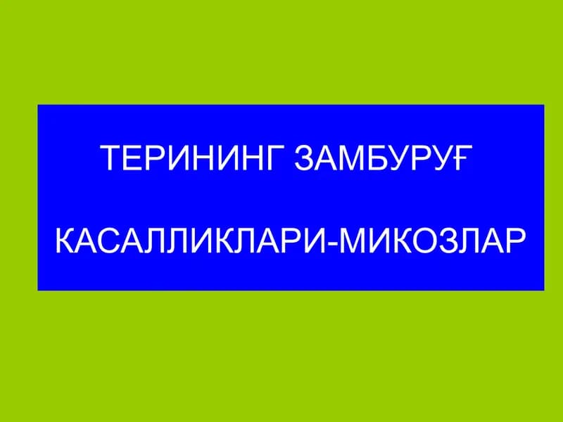 Замбуруғ касалликлари-микозлар